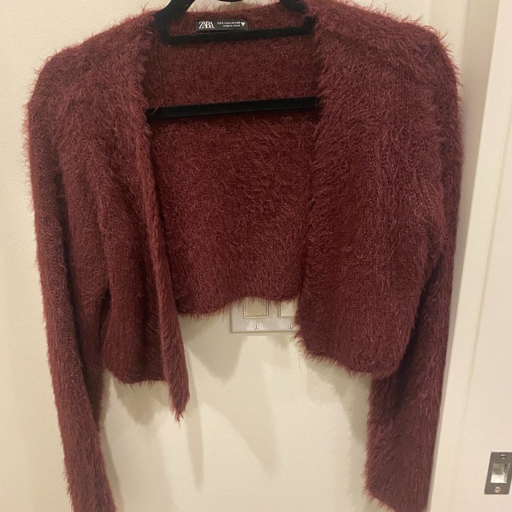 Zara Cropped Fuzzy Jacket